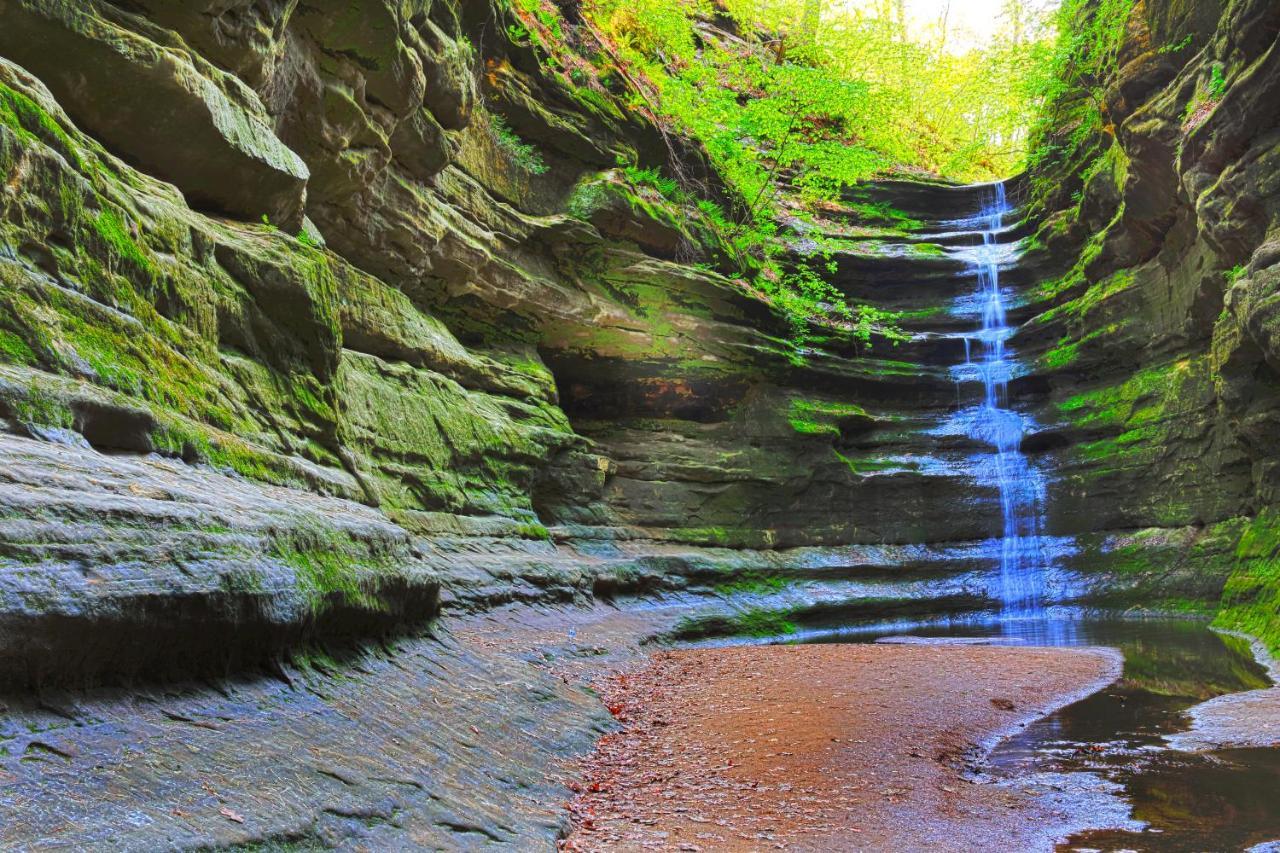 Starved Rock & Ottawa Retreat Amazing Getaway Home Exteriör bild